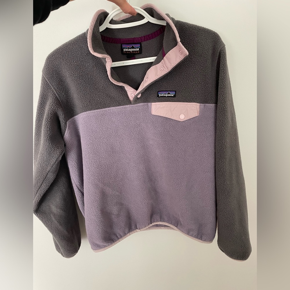 Patagonia Synchilla Sweater
